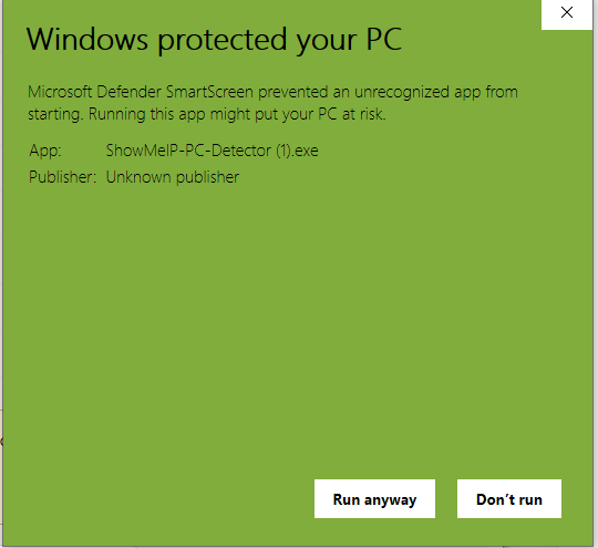 Expanded Windows protection prompt showing the Run anyway button